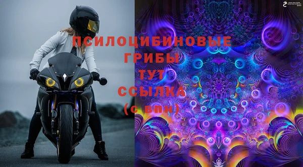 прущий лед Арсеньев