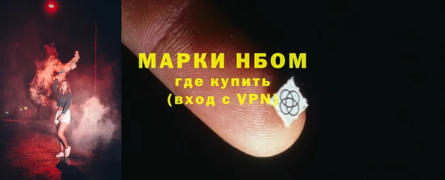 PSILOCYBIN Аркадак